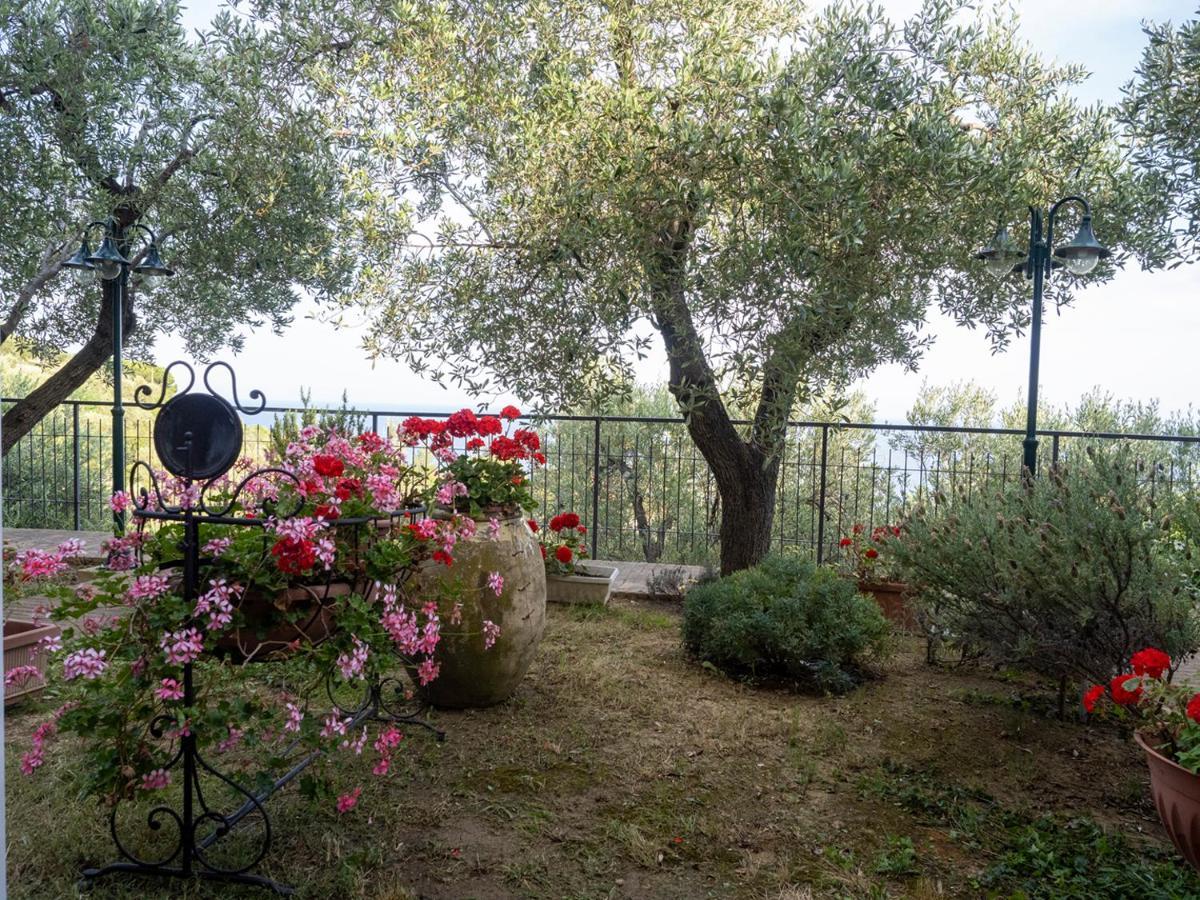 Tra Gli Ulivi Bed & Breakfast Pietra Ligure