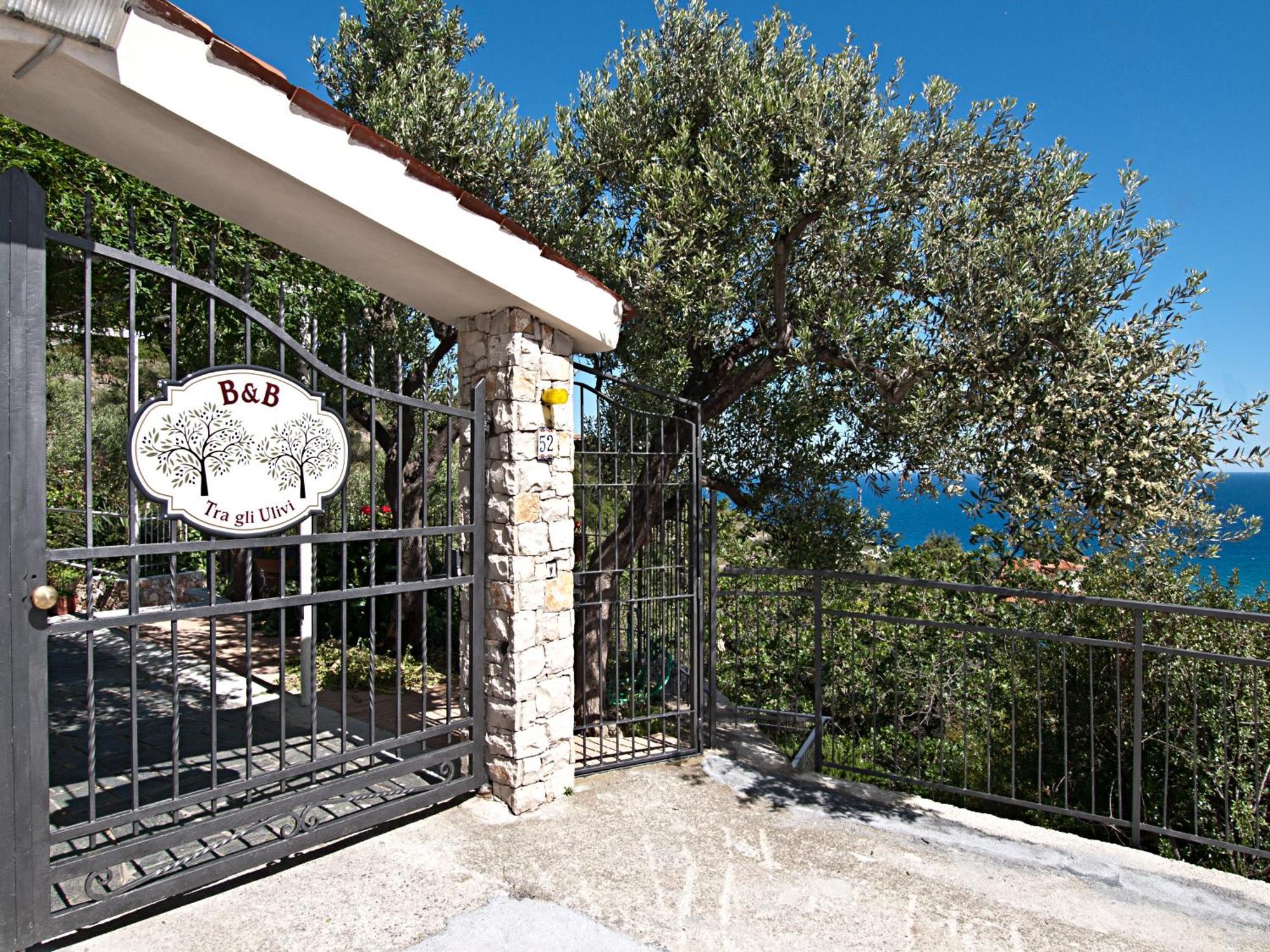 Tra Gli Ulivi Bed & Breakfast