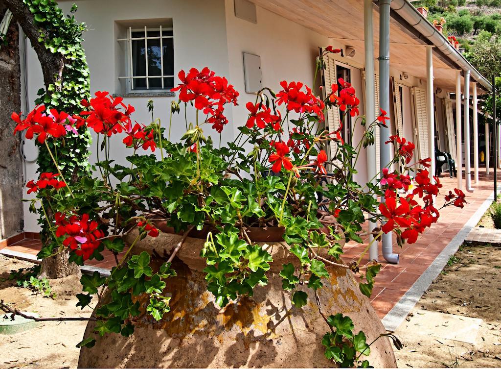 Frühstückspension Tra Gli Ulivi Pietra Ligure