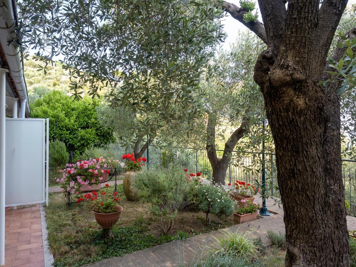 Tra Gli Ulivi Bed & Breakfast Pietra Ligure