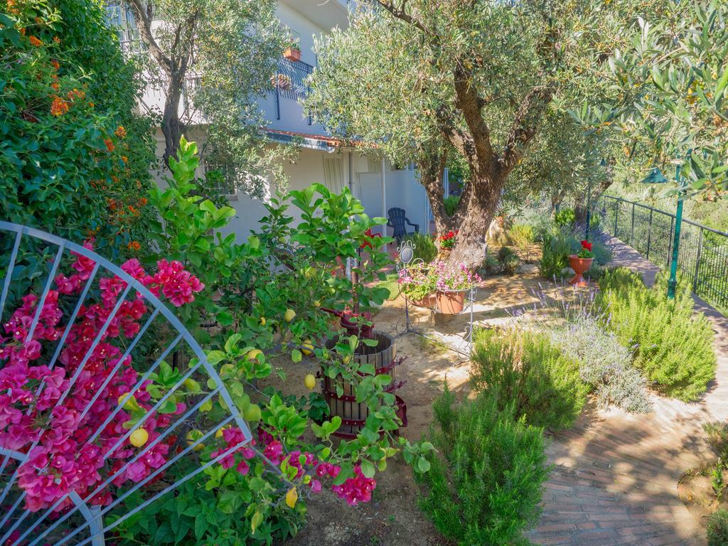 Tra Gli Ulivi Bed & Breakfast