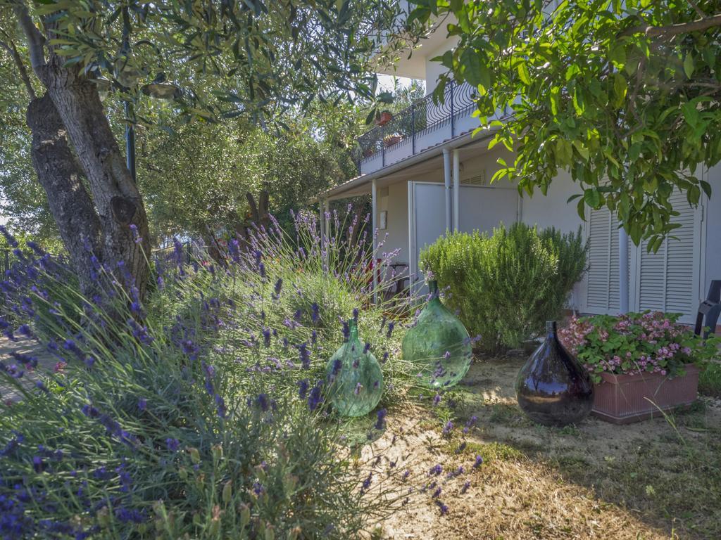 Tra Gli Ulivi Bed & Breakfast *